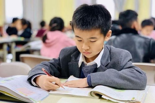 教育改革新戰(zhàn)略即將落地，家長心態(tài)需理性調(diào)整